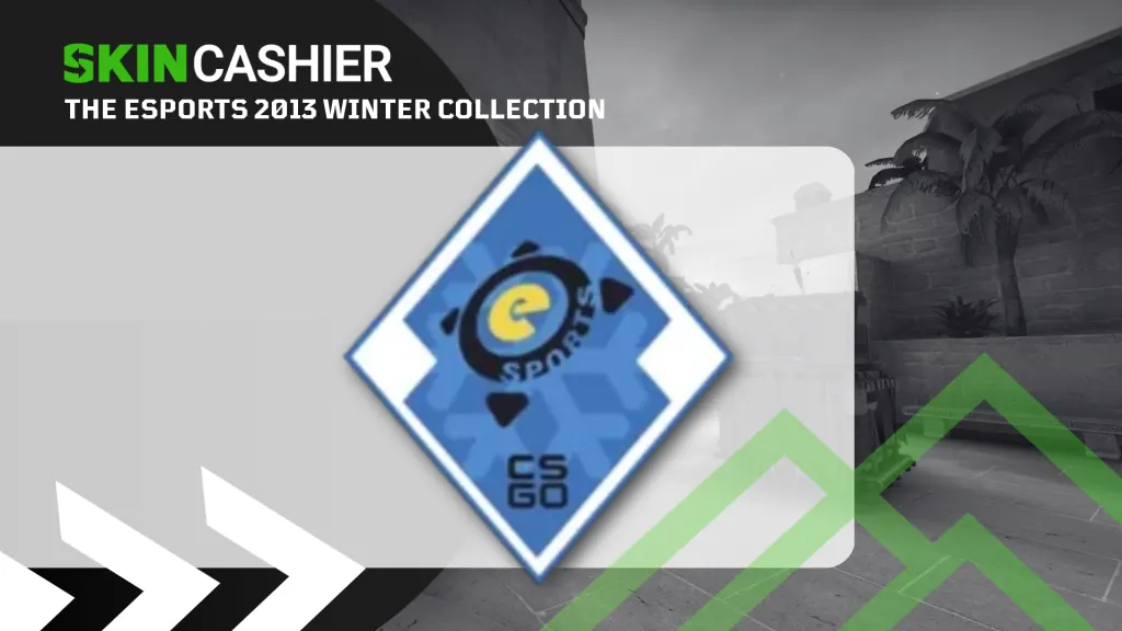 eSports 2013 Winter Case