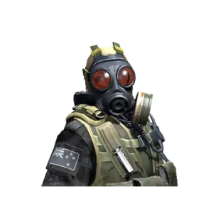 d squadron officer