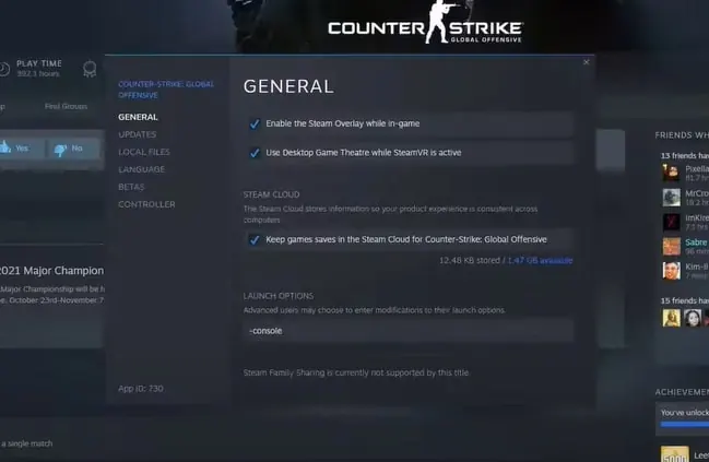 the CSGO console